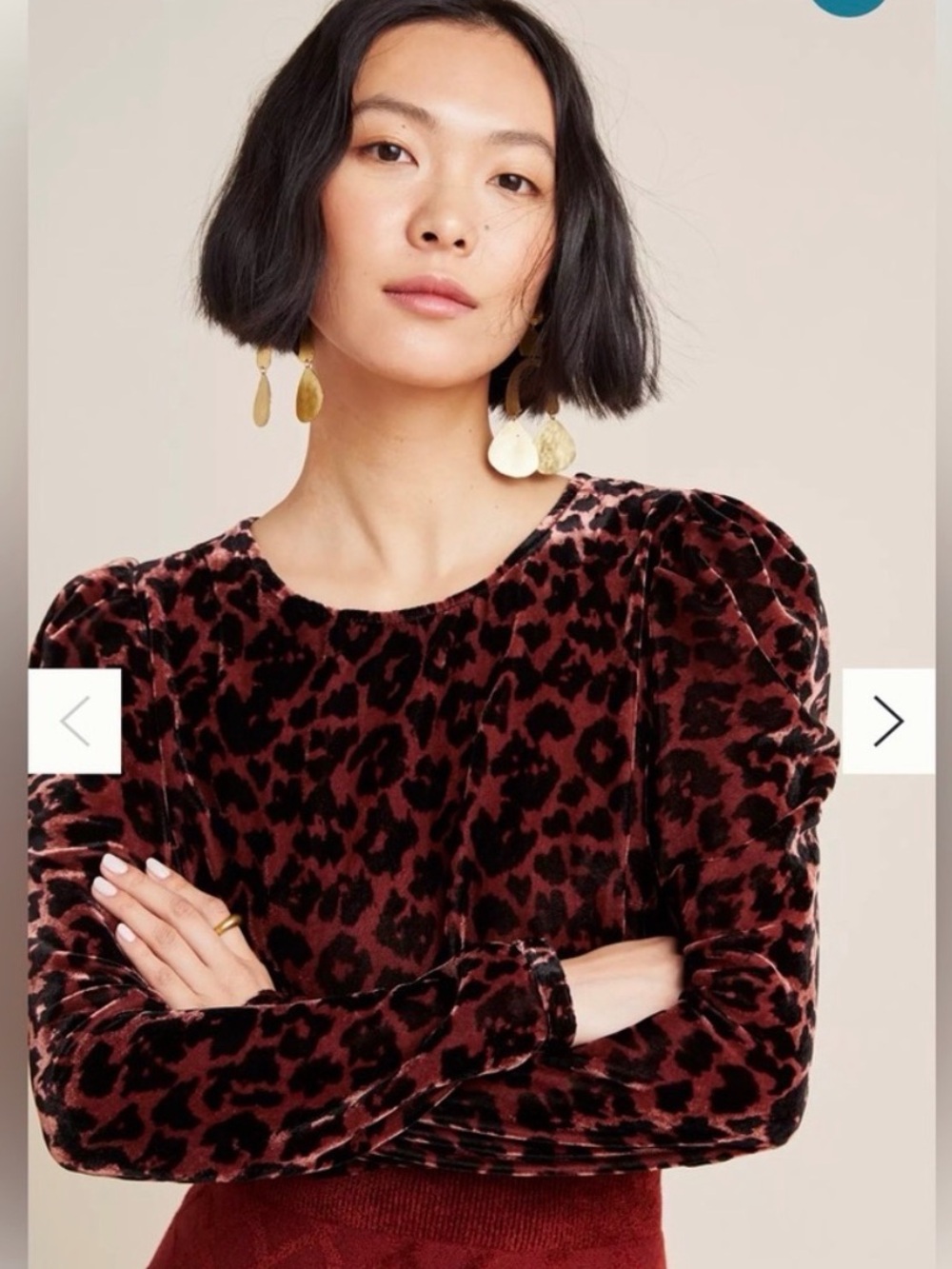 Anthropologie Velvet Leopard-Print Top in Burgundy and Black